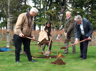 3 white men and one south asian woman spade soil over a newly planted tree